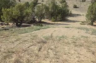 19774 W Toshas Trail, Duchesne, UT 84021 - Photo 1