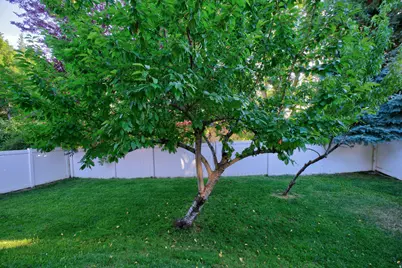 986 S Slate Canyon Dr, Provo, UT 84606 - Photo 27