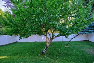 986 S Slate Canyon Dr, Provo, UT 84606 - Photo 27