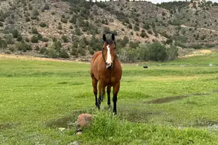 42749 W 9750 N, Hanna, UT 84031 - Photo 39
