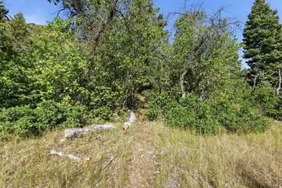 [Address not provided], Fountain Green, UT 84632 - Photo 19