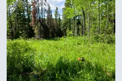 Baxter Sawmill Rd E, Hyrum, UT 84319 - Photo 3