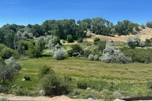 1243 E Amaryllis Wy, Layton, UT 84040 - Photo 3