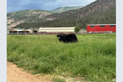 42749 W 9750 N, Hanna, UT 84031 - Photo 39