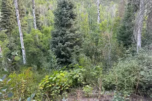 819 North Fork Rd, Mount Pleasant, UT 84629 - Photo 1