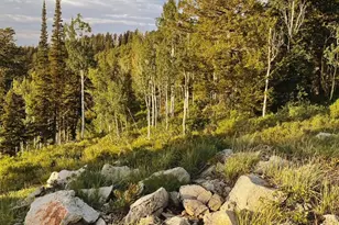 4883 E 3525 N, Eden, UT 84310 - Photo 13