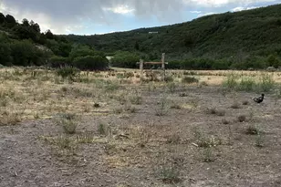 33980 N 10890 E, Fairview, UT 84629 - Photo 29