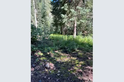 9162 E Laurel Ln, Brighton, UT 84121 - Photo 7
