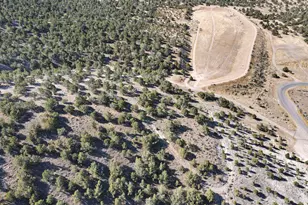 1125 S Sheep Ln, Nephi, UT 84648 - Photo 45