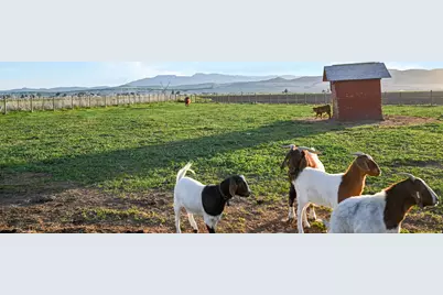 545 N 1600 W, Lewiston, UT 84320 - Photo 33