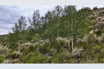 123 Tbd Beaver Creek Rd, Helper, UT 84526 - Photo 19