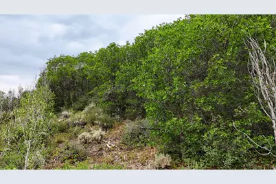 123 Tbd Beaver Creek Rd, Helper, UT 84526 - Photo 25