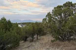 14542 S Shaggy Mountain Rd, Herriman, UT 84096 - Photo 1