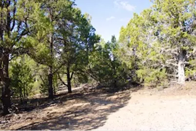 [Address not provided], Fairview, UT 84629 - Photo 7
