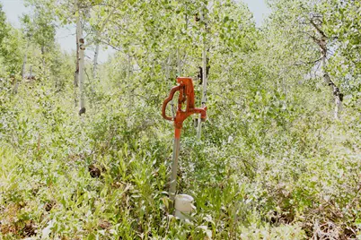 6082 N Middle Fork Dr #43, Huntsville, UT 84317 - Photo 3