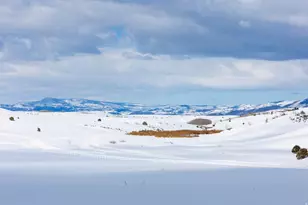 17017 Ant Flat Rd, Avon, UT 84328 - Photo 107