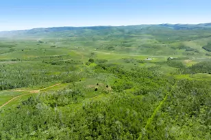 17017 Ant Flat Rd, Avon, UT 84328 - Photo 87