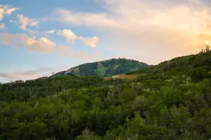 10102 N Drommen Ct, Park City, UT 84060 - Photo 3