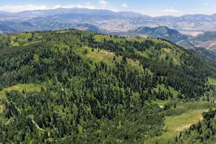 0, Paradise, UT 84328 - Photo 59