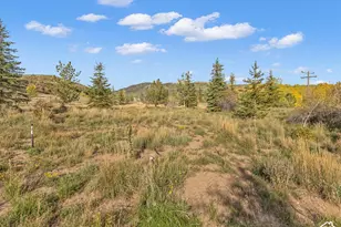 5958 Bull Moose Rd, Woodland Hills, UT 84036 - Photo 31