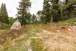 80 Scare Cyn, Paradise, UT 84328 - Photo 53