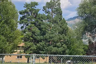 180 E 9100 S, Paradise, UT 84328 - Photo 39