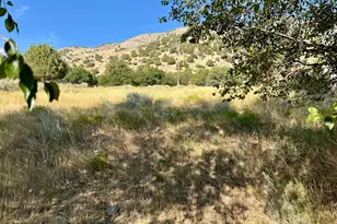 1172 N Circle View Dr, Logan, UT 84341 - Photo 47