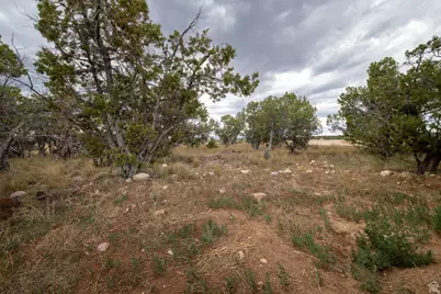 3378 N Sr 87 W, Talmage, UT 84073 - Photo 41