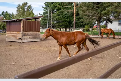 3400 S Big Hollow Rd, Daniel, UT 84032 - Photo 53