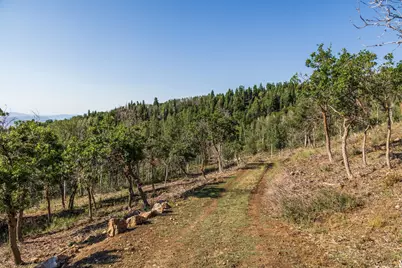 543 Upper Cove Rd #51, Park City, UT 84098 - Photo 5