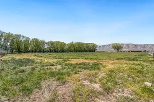 3847 W 6800 St S, Benjamin, UT 84660 - Photo 33