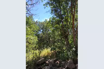 94 N Whittemore Dr E #94, Springville, UT 84663 - Photo 5