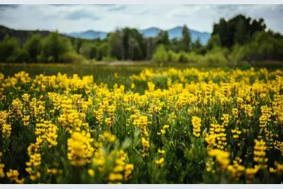 7394 E Moon Light Dr #G3.15, Heber City, UT 84032 - Photo 43