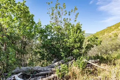 [Address not provided], Kamas, UT 84036 - Photo 7