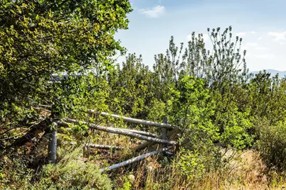 [Address not provided], Kamas, UT 84036 - Photo 17