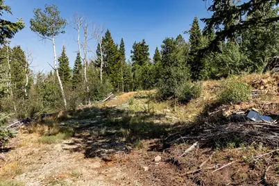 17102 S Alta Dr #D82, Spanish Fork, UT 84660 - Photo 13