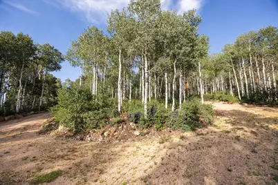 3318 S Forget Me Not Ln #43, Heber City, UT 84032 - Photo 49