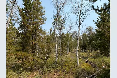 4913 Pinecrest Rd, Kamas, UT 84036 - Photo 3
