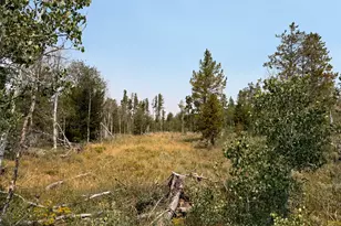 4913 Pinecrest Rd, Kamas, UT 84036 - Photo 1
