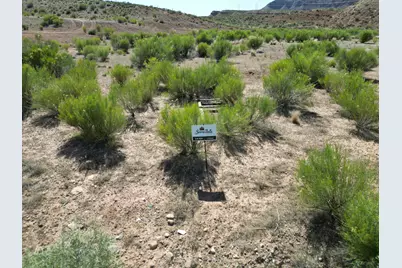 26 Sierra Bella #26, Virgin, UT 84779 - Photo 5