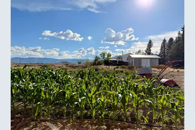 910 E Clawson Bench Rd, Clawson, UT 84516 - Photo 53