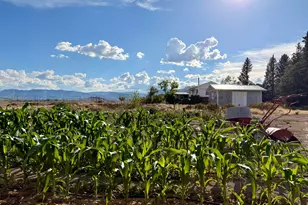 910 E Clawson Bench Rd, Clawson, UT 84516 - Photo 53