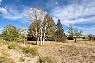 910 E Clawson Bench Rd, Clawson, UT 84516 - Photo 41