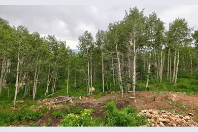 1985 W Valley Vista Dr, Coalville, UT 84017 - Photo 5