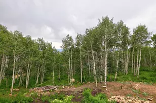 1985 W Valley Vista Dr, Coalville, UT 84017 - Photo 5