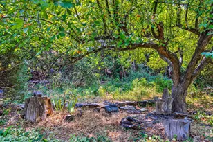 85 E 300 N, Moab, UT 84532 - Photo 23