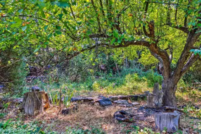 85 E 300 N, Moab, UT 84532 - Photo 23
