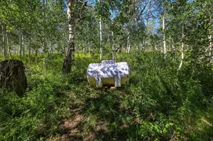 94 E Gooseberry Canyons Rd, Fairview, UT 84629 - Photo 13