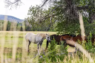 1264 High Country Ln, Francis, UT 84036 - Photo 35