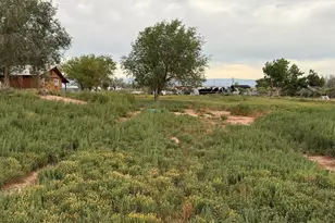 2575 W 2500 S, Roosevelt, UT 84066 - Photo 45